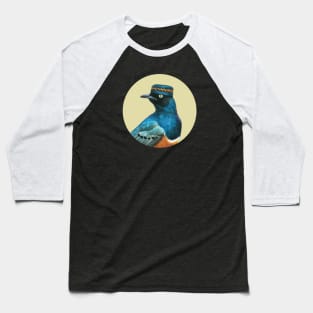 Superb starling Baseball T-Shirt